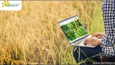 Photo of Food Safety and Traceability: AgTech India’s New Focus