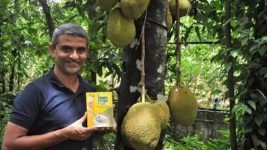 Photo of India’s Homegrown Green Jackfruit Flour for Diabetes Gets Recognition from American Diabetes Association