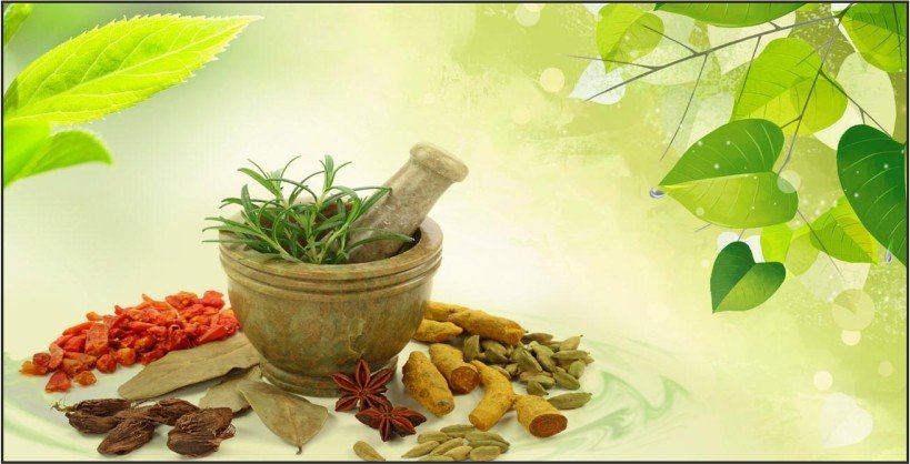 Future of Ayurveda